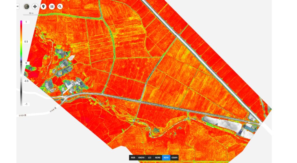 NDVI